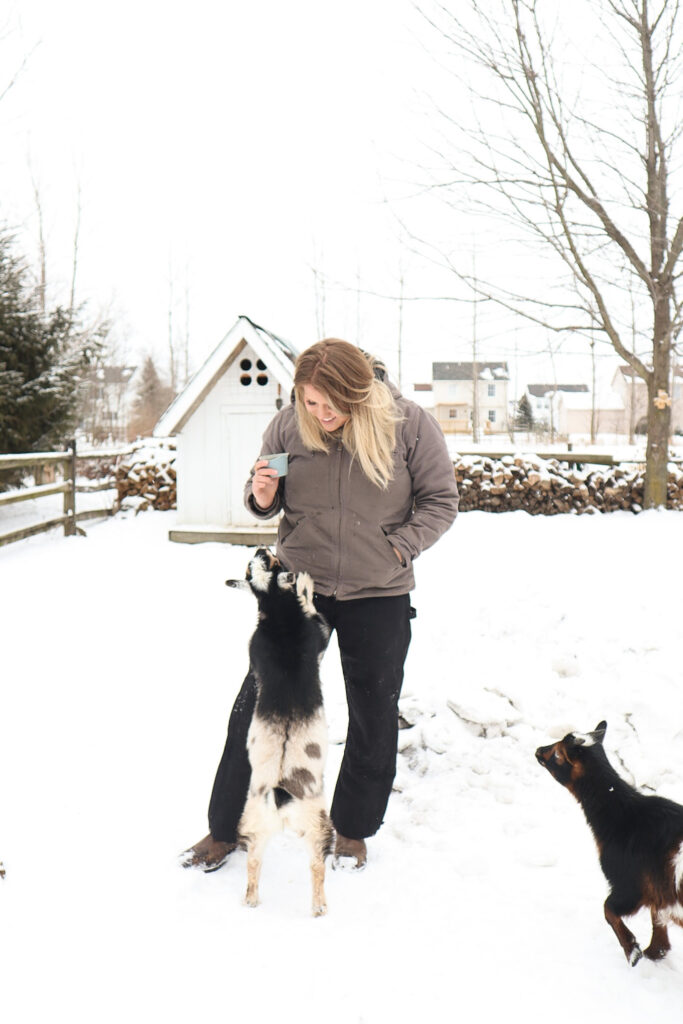 city girl becomes a homesteader Homesteader with the goats 