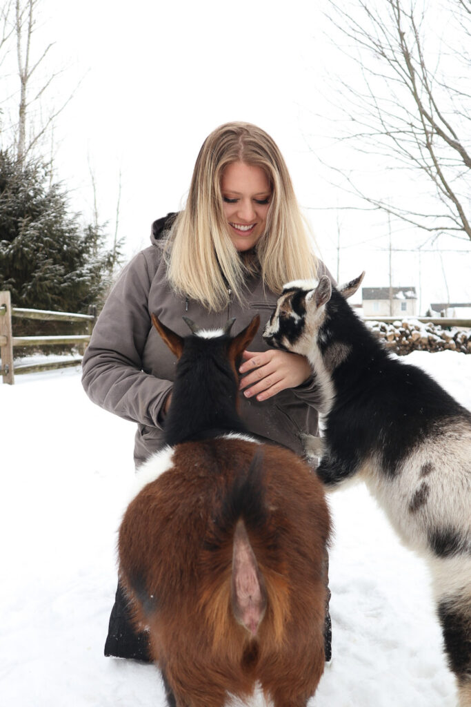 city girl becomes a homesteader Feeding the goats 
