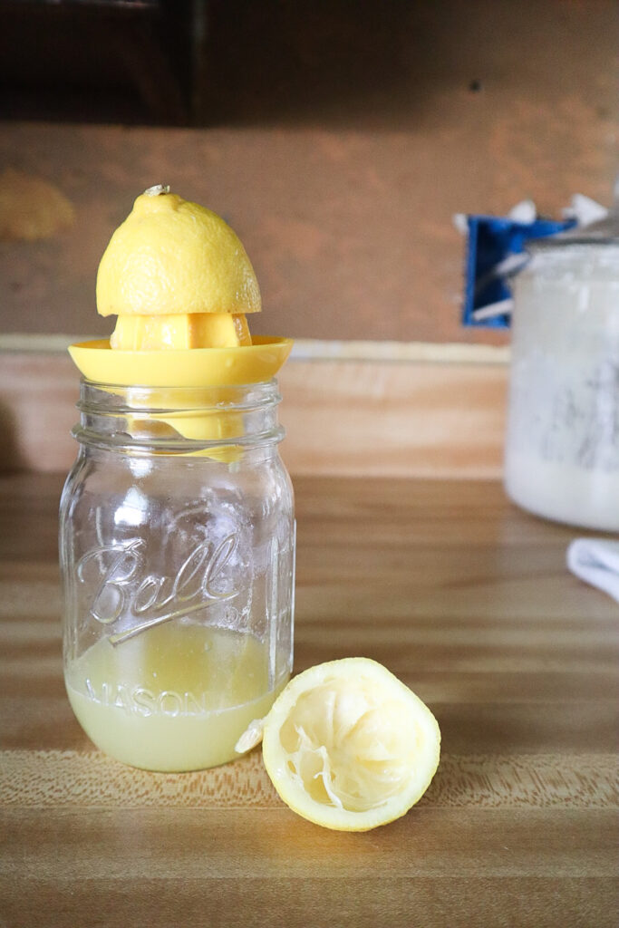 lemon in a juicer